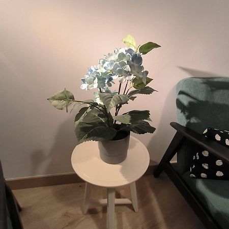Apartamento Zabala Conoce Bilbao Desde Dentro エクステリア 写真